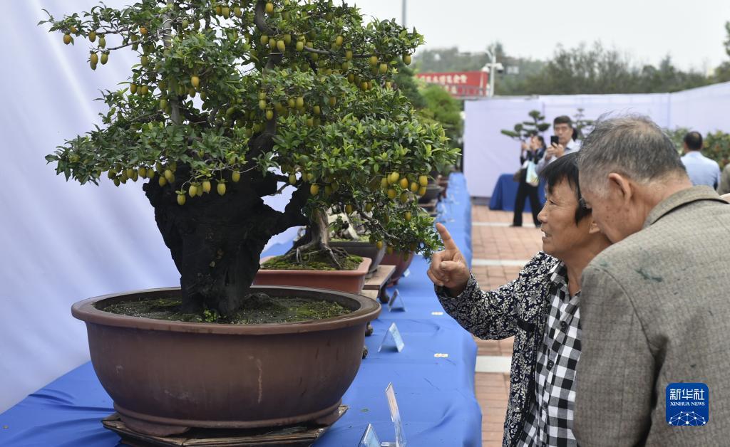 三元官方网站